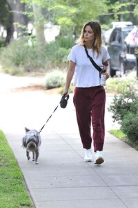 rachel-bilson-walking-her-dog-in-la-07-08-2019-0.jpg