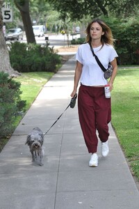 rachel-bilson-walking-her-dog-in-la-07-08-2019-1.jpg