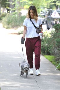 rachel-bilson-walking-her-dog-in-la-07-08-2019-2.jpg