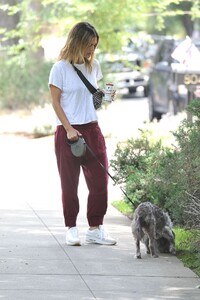 rachel-bilson-walking-her-dog-in-la-07-08-2019-3.jpg