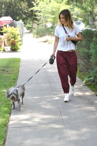 rachel-bilson-walking-her-dog-in-la-07-08-2019-4.jpg