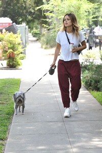 rachel-bilson-walking-her-dog-in-la-07-08-2019-5.jpg