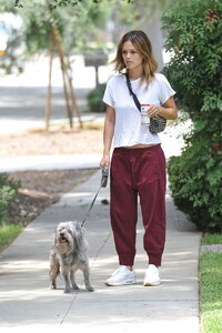 rachel-bilson-walking-her-dog-in-la-07-08-2019-6.jpg