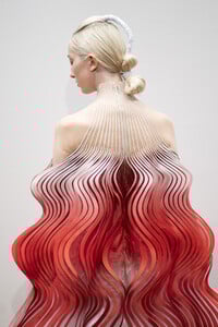 van-herpen-hc-bks-a-rf19-5357.thumb.jpg.e7798f5bc42e3a58020aff741a0eaa4c.jpg