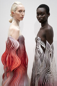 van-herpen-hc-bks-a-rf19-5369.thumb.jpg.5b2e2fd1125615230e3c9e95504b9ac2.jpg