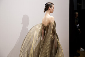 van-herpen-hc-bks-m-rf19-7144.thumb.jpg.3c8f908481086a70b195f886e88bf129.jpg