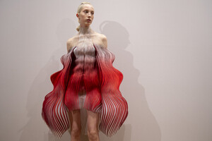 van-herpen-hc-bks-m-rf19-7249.thumb.jpg.e2b76664e3c85123ca02890400e0ee59.jpg