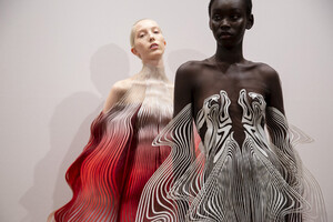 van-herpen-hc-bks-m-rf19-7261.thumb.jpg.f27621953d34353f646c451e5c8a2b1c.jpg