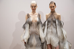 van-herpen-hc-bks-m-rf19-7372.thumb.jpg.aa8d38a79ef05699a565002862f6c632.jpg