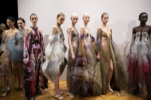 van-herpen-hc-bks-m-rf19-7540.thumb.jpg.827e5100a40c99d30b8c151ce3e7a4d2.jpg