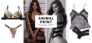 080819-animal-trend-shop-feature-poster-1600x750.png