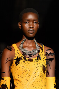 396121785_SchiaparelliRunwayParisFashionWeekHauteL93Fqmpqlnqx.thumb.jpg.6bc9485e0c8121109d9951246f48f86f.jpg