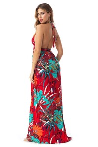 liba_ar820-nd_red_back.jpg