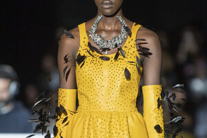 schiaparelli-hc-clp-rf19-8846.thumb.jpg.8ad85183554829a875889d9c4ee605ae.jpg