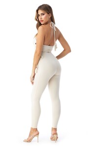 yeyup_ar917-rx_stn_back.jpg
