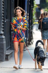        rat120919BZNimage6.jpg