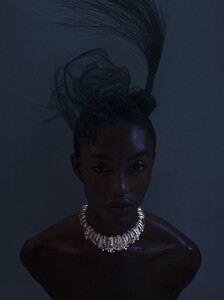 1184845-800w.jpg