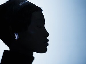 1184847-800w.jpg