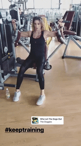 giphy (4).gif