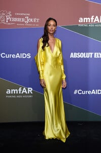 Joan+Smalls+amfAR+Gala+Milano+2019+Red+Carpet+QFZwwgKVLu7x.jpg