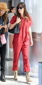       dak060919BZNimage5.jpg