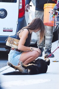        rat130919BZNimage11.jpg