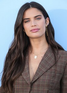        sam120919BZNimage7.jpg