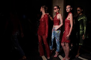 siriano-bks-g-rs20-1305.thumb.jpg.86205266d16f544267ab218c12d259cb.jpg