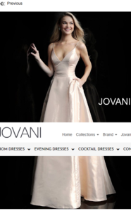 Screenshot_2019-10-02 Jovani 59915 Soft Gold Simple Metallic Long Prom Gown.png