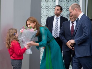        mid021019BZNimage44.jpg