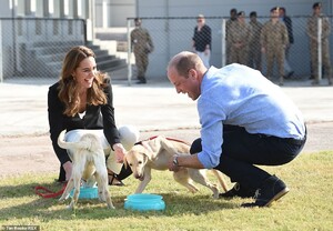 19878620-7587243-The_royal_couple_laughed_as_they_played_with_trainee_bomb_dogs_S-a-14_1571400537140.jpg