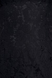 4642350_913642.jpg