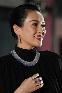 Zhang+Ziyi+Tokyo+International+Film+Festival+jr-tKT6pbd8x.jpg