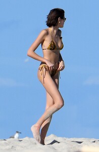       kai231119BZNimage72.jpg