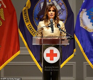 21270976-7708663-Spreading_the_word_Melania_said_it_is_important_that_Americans_d-a-18_1574304063213.jpg