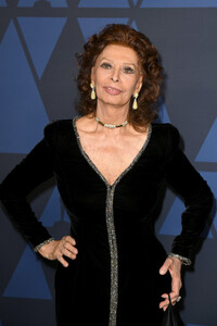 Sophia+Loren+Academy+Motion+Picture+Arts+Sciences+W1eLBqTPtfOx.jpg