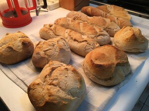 IMG_6153.thumb.jpg.ff5c1172606829429f3c07f8cead8c6b.jpg