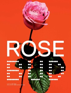 Jalouse_147_February2012_Rosebud_01.jpg