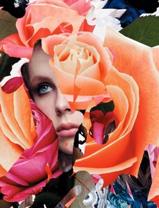 Jalouse_147_February2012_Rosebud_03.jpg