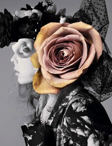Jalouse_147_February2012_Rosebud_11.jpg