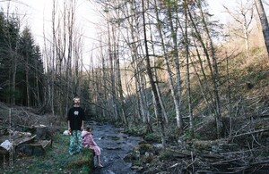 1186611-800w.thumb.jpg.9561c92cf7ac8d92077077e7c21149d5.jpg
