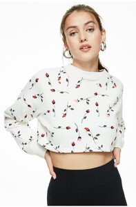 14401swe-white-rose_03348.thumb.jpg.8a84aaaf4edcb1ffb389ca6a7d055ae8.jpg