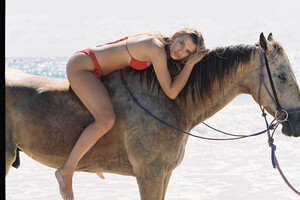 1479846375_h-Frankiesbahamasagain-127.thumb.jpg.8494a5f6a2b0d38fd29bde017aa317d2.jpg