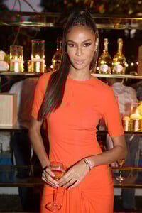 Joan+Smalls+Ruinart+x+Vik+Muniz+Art+Basel+HJTbdMv8WWVx.jpg