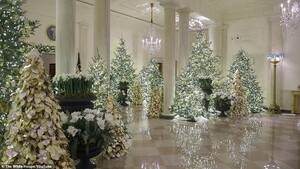 21695482-7745473-Stunning_images_from_inside_the_White_House_show_this_year_s_fes-a-7_1575310078572.jpg