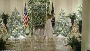 21695528-7745473-In_the_nearly_one_minute_long_video_posted_to_Twitter_Melania_we-a-9_1575310078611.jpg