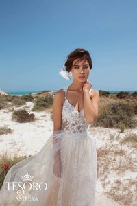 Astreya2.900x900w.jpg