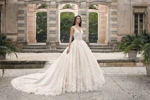 DP420-2900.jpg