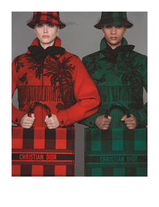 Niedermair_Dior_Fall_Winter_19_20_03.thumb.png.88e22021c7ca6bc59bad93acff5e3e76.png