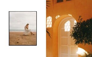 SIRlayout_newproportions2.jpg